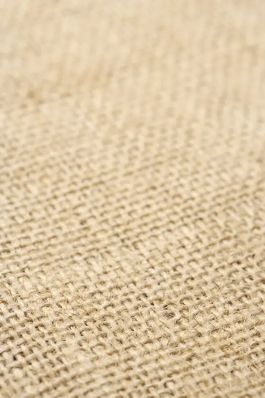 ֯�����ϱ���-������