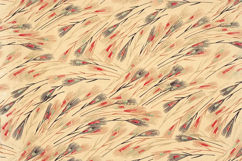 ��ë���ϱ���-������