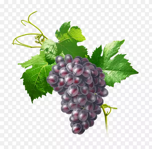 �ڴ�������ʳƷ-����-������