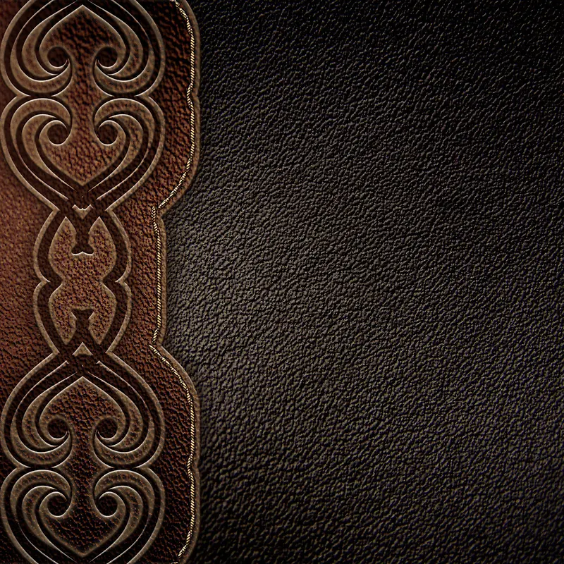 ����Ƥ�ﱳ��-������