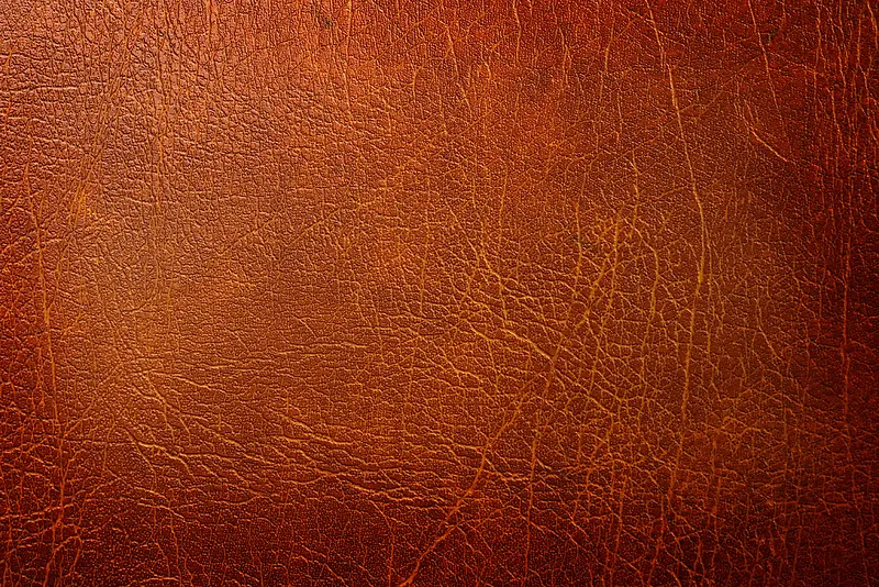 Ƥ����Ʊ���-������