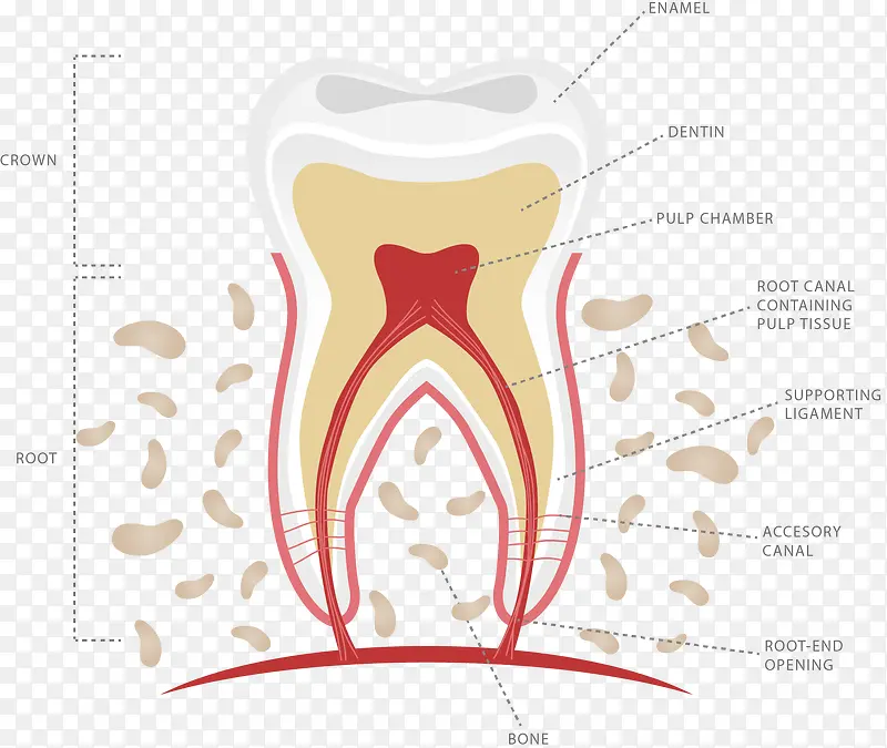 ������Ϣ��-������