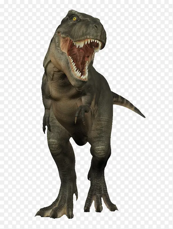 �������������-������