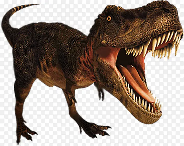 ����������-������