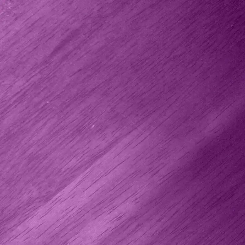 ��ɫ����-������