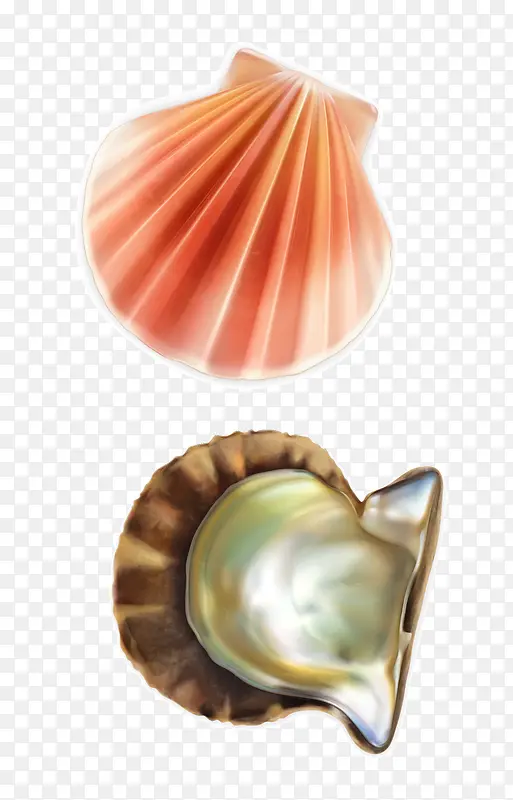 ʸ���ȱ��ز�-������