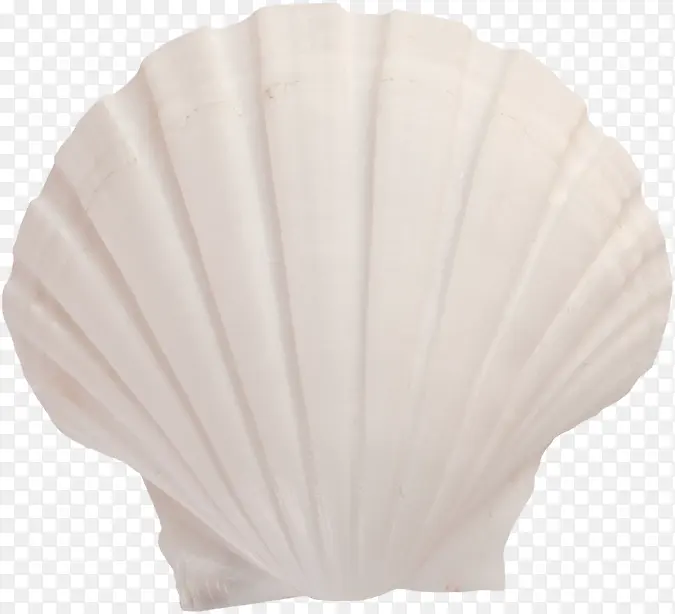 ��ɫ����-������