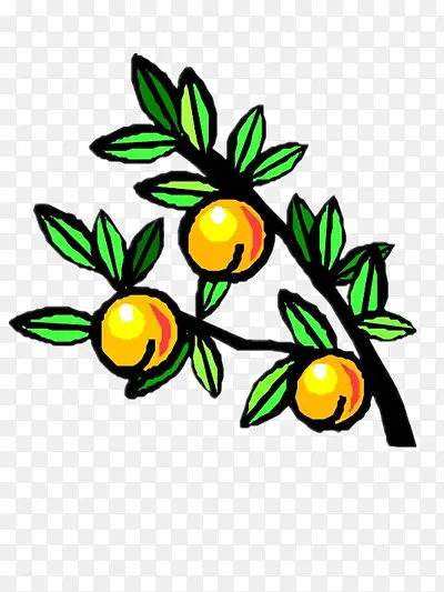 ����Ľ��-������