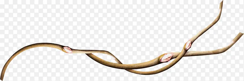 ��ɫ��֦-������