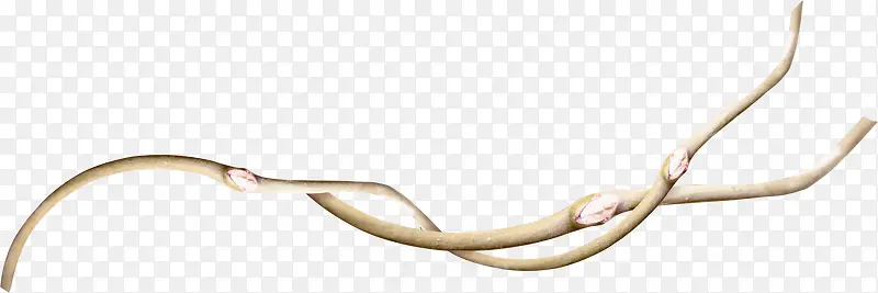 ��ɫƯ����֦-������