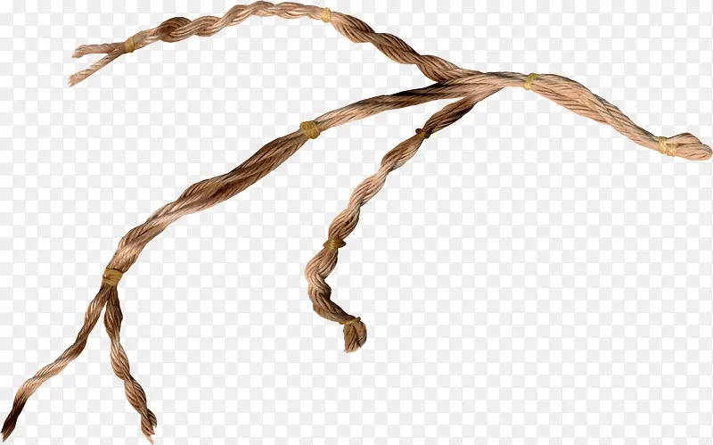 ��ɫ��֦-������