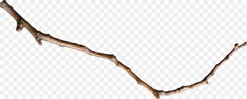 ��ɫƯ����֦-������