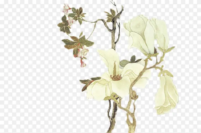 װ�λ�-������