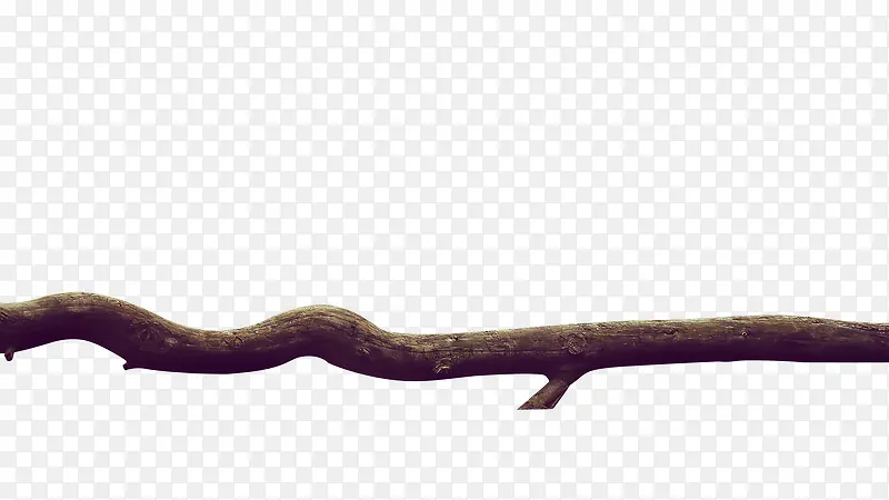 ��������֦-������