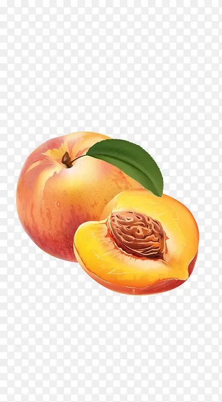 ʸ����ɫ�ٻ�ɫ��Ҷ����ˮ��ͼ��-������