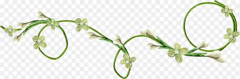 ��ɫ��֦-������