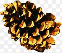 ��ɫ�ɹ�ʥ����չ��-������