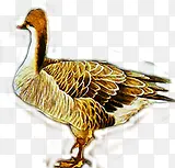 �ֻ�ɰ�ˮ���ͻ�-������