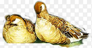 �ͻ�ˮ��ɰ��ֻ�-������