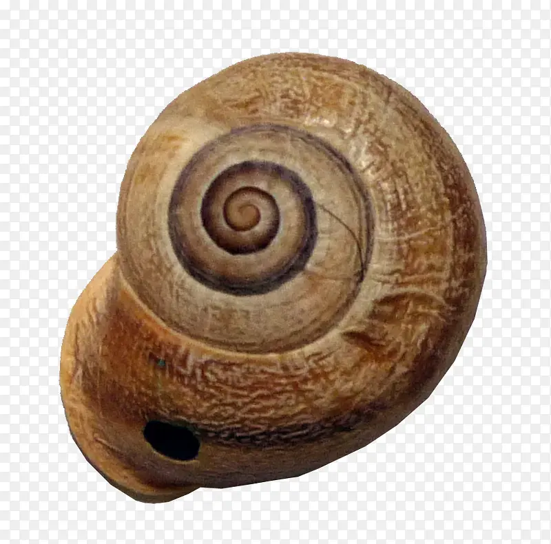 ��ţ-������