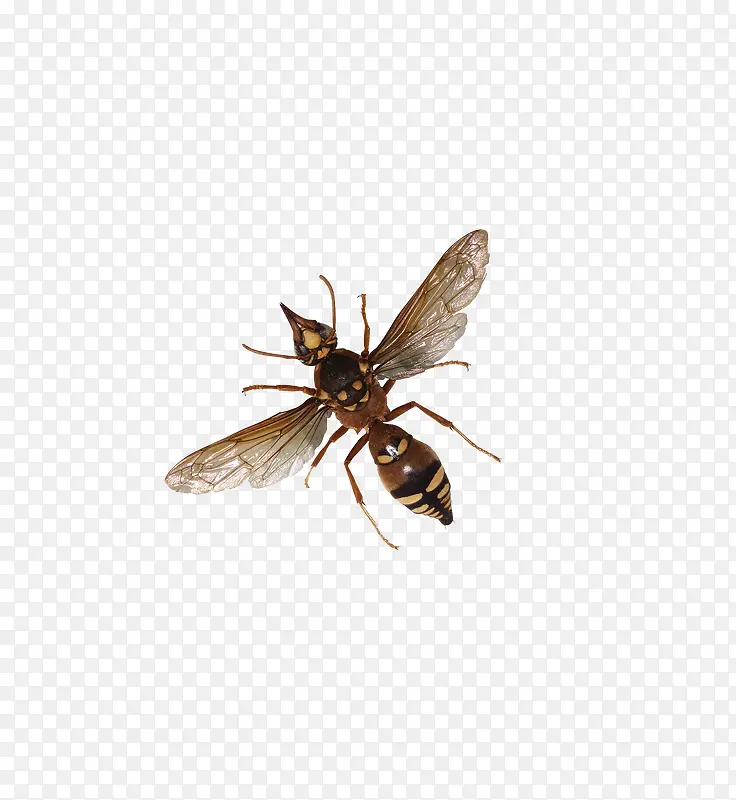 ����-������