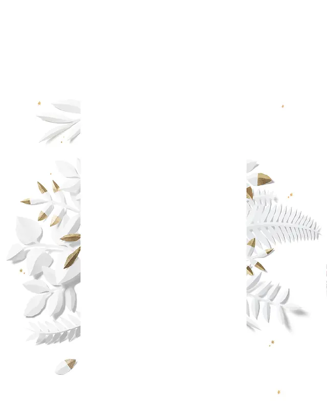 ��ɫ��Ҷ��֦�̶�����-������