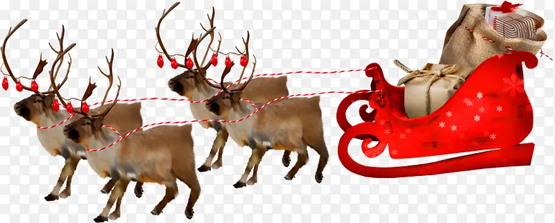 ʥ����¹ѩ����-������