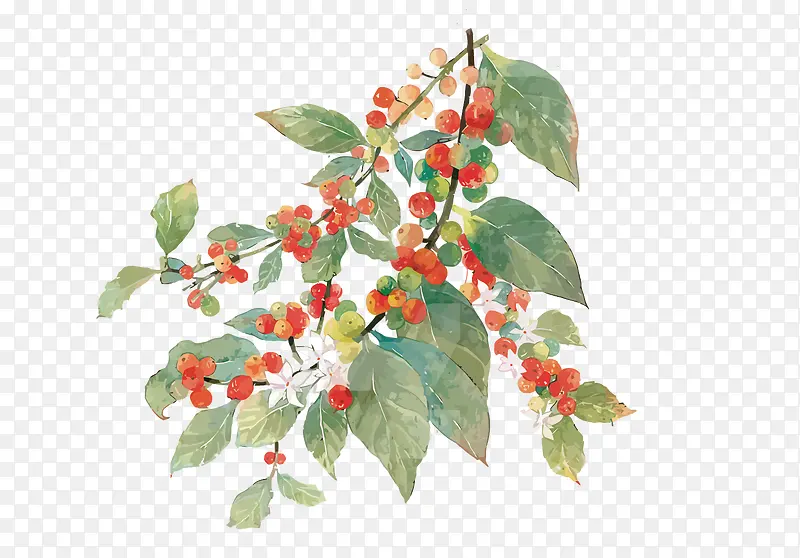 ʸ���컨��Ҷ-������