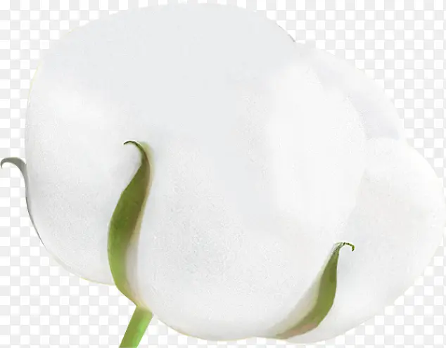 �޻�  ��ɫ  ������-������