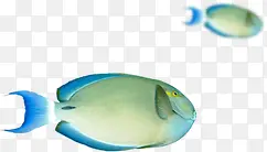 ��Ӱ������Ӿ��С����-������