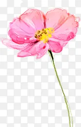 Ϳѻ��ƻ�֦��ƺ�ɫ-������