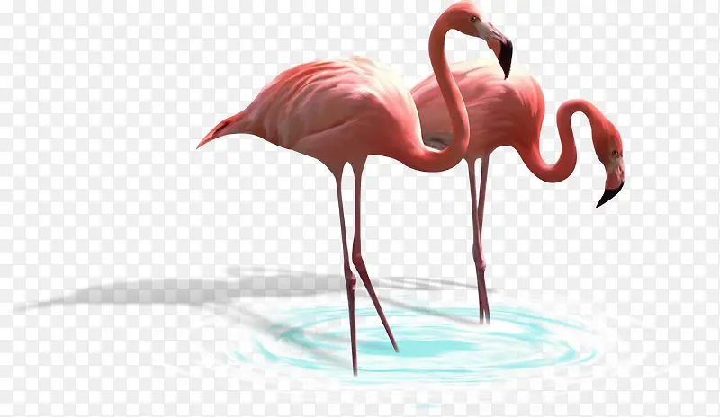 �ֻ涯���زĿ�ͨ�����ز� ����-������