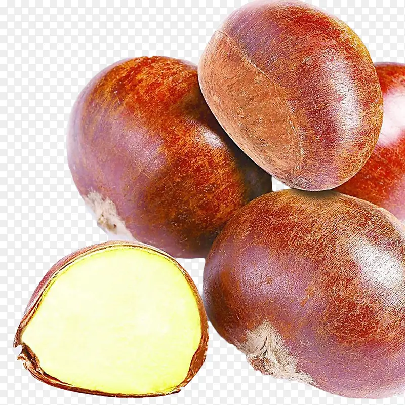 ɽ������ɽҰ������-������