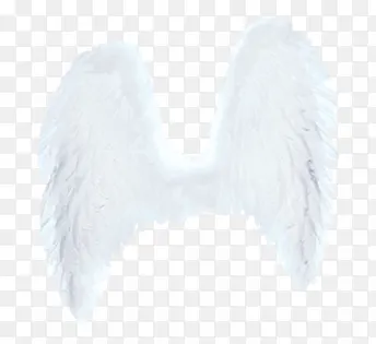 ��ɫ��ʹ���-������