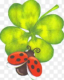 ��ͨ��Ҷ��-������