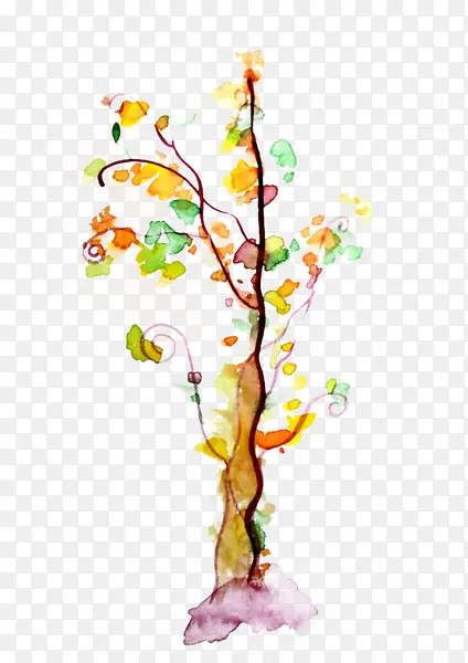 ��ɫ��-������