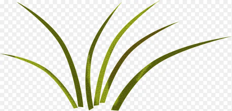 ��ɫС��-������