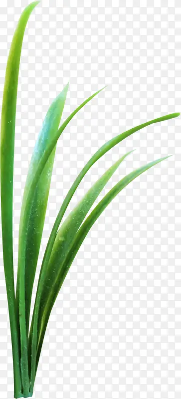 ��ɫƯ��С��-������