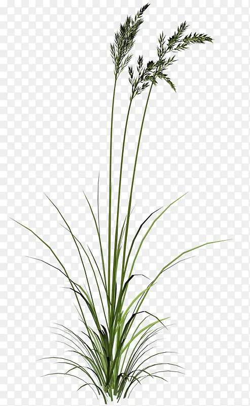 Ư��С���ز����-������