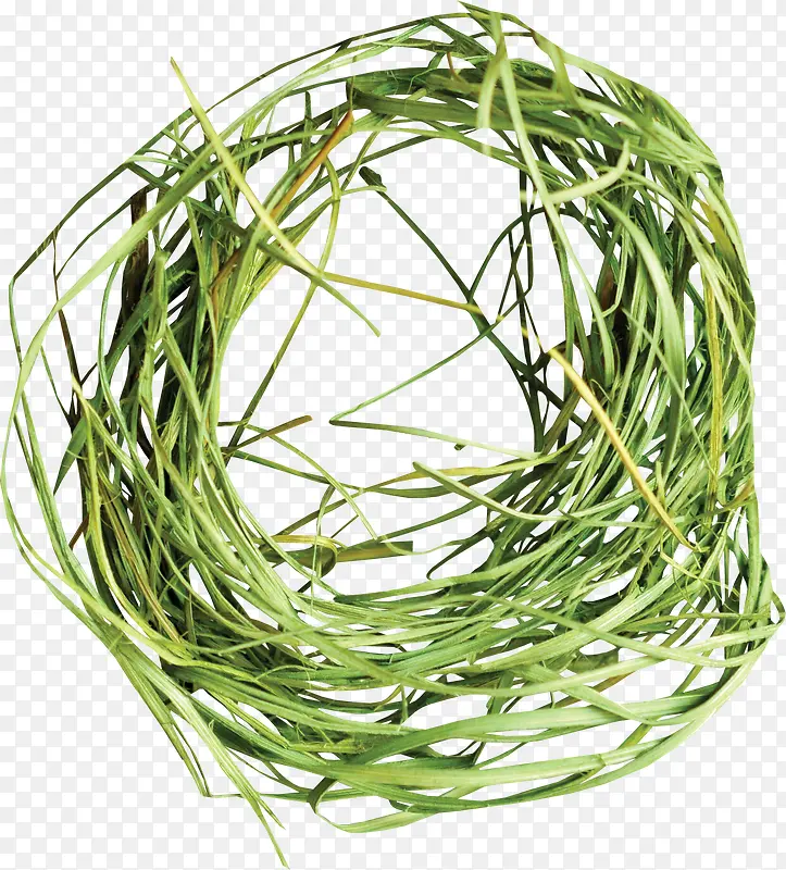 ��ɫƯ���ݻ�-������