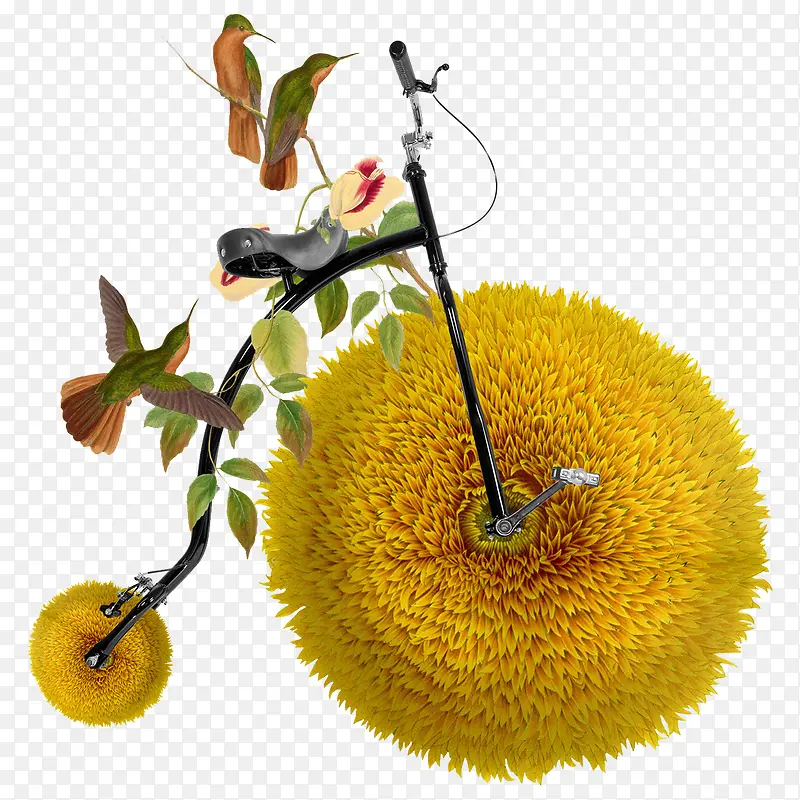 ���⻨�����г�-������