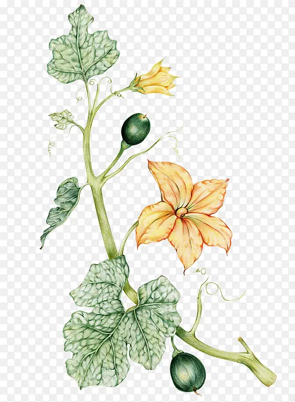 ��ͨ�ֻ��߲�װ�κ������-������