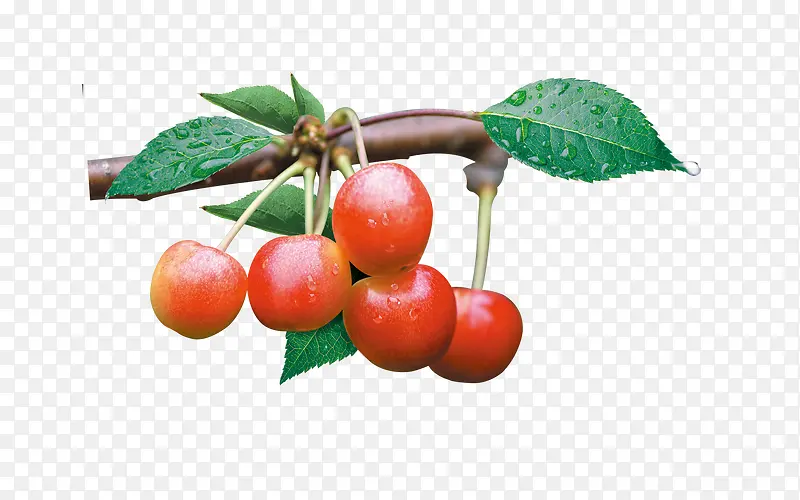 ��Ʒʵ�����ʻ�÷-������