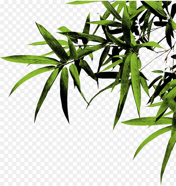 ��ľһ��-������