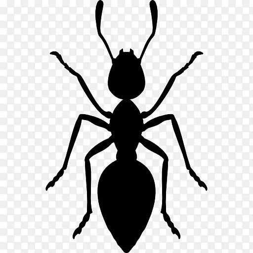 ����ͼ��-������