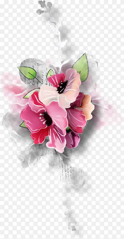 Ư����ͨ��Ҷ-������