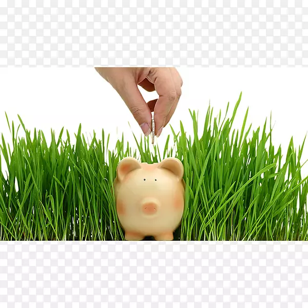 ��ƺ��ֲ����������-������