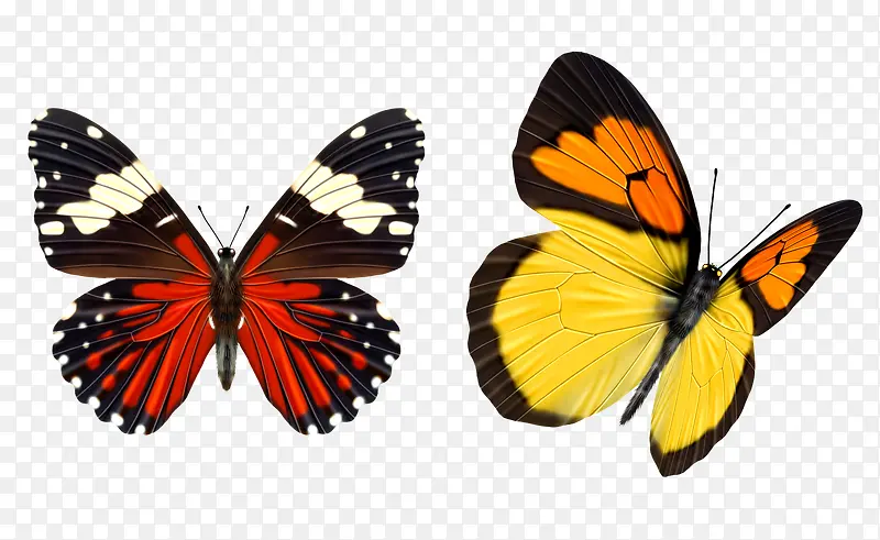 �ں���-������