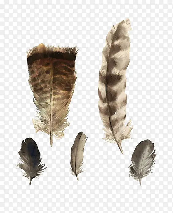 ˮī������ë-������