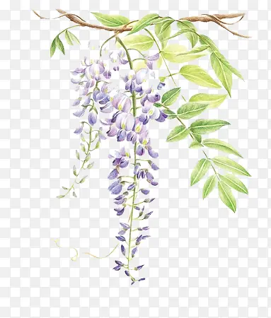 ����ˮ�ʻ���ͼ��-������